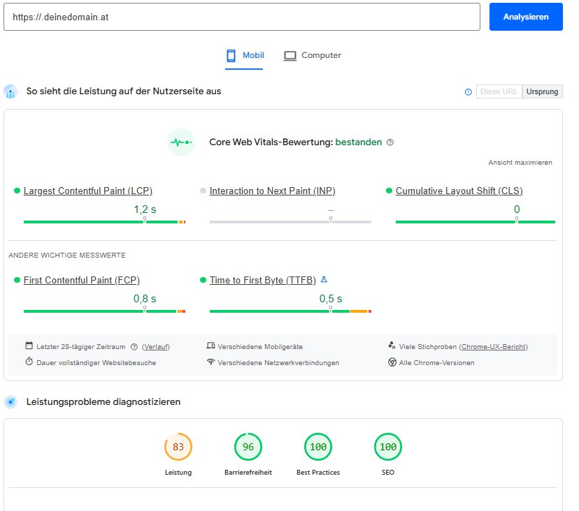 Screenshot: Google PageSpeed Insights – Ladezeit und Performance-Analyse einer Website